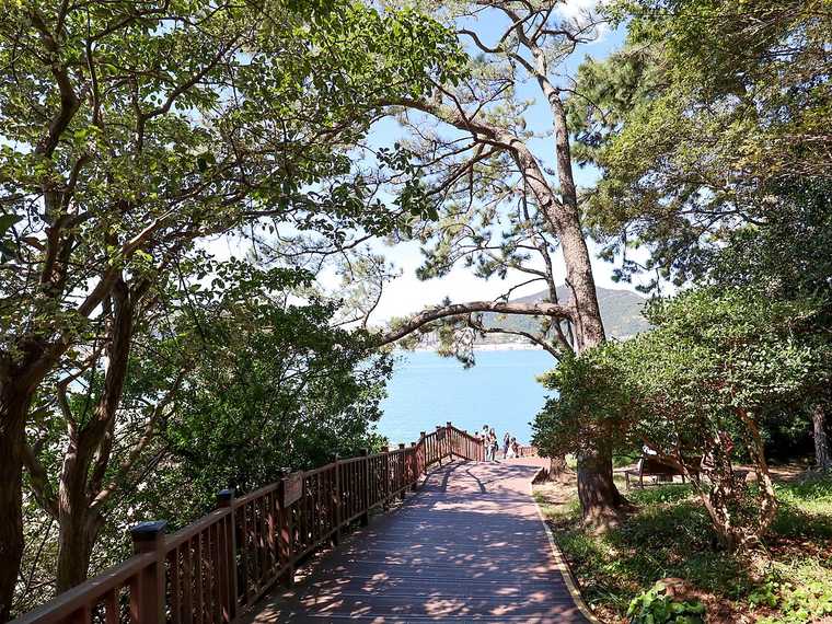 동백숲 사이로 이어지는 오동도 산책로