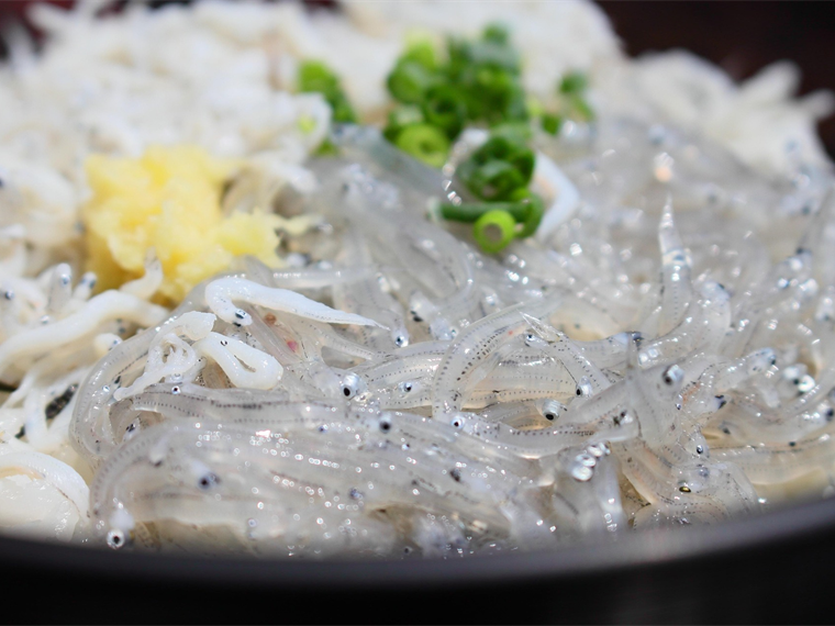 멸치