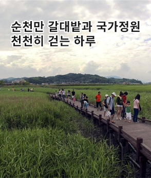 더보기