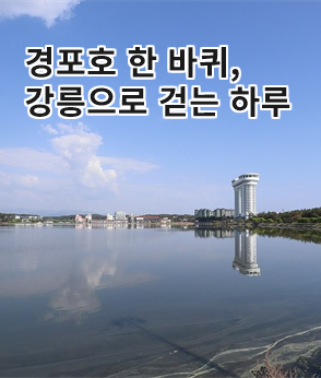 더보기