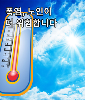 더보기