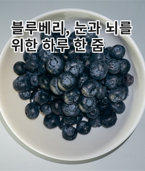 더보기