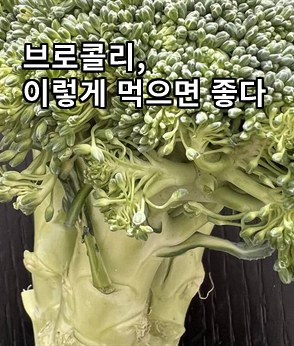 더보기