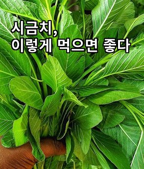 더보기